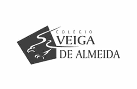 client_logo-veiga